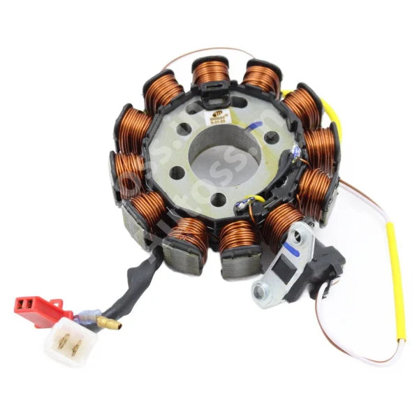 TVS REDION COIL PLATE ASSEMBLY (12 POLL) 2+2+1 PIN
